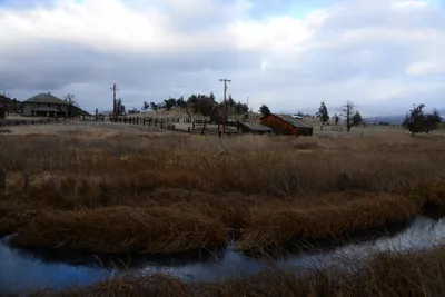 DSC_2933 (Large).JPG